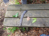 IMG-20230405-WA0015