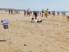IMG_20230606_140233