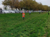 cross12