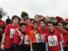 cross16