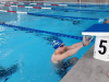 natation_2