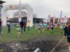 23-24_cross2D-9