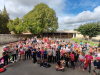 rpilamerlatiere-boulogne-27