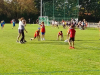 IMG-20231010-WA0002