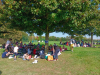 IMG-20231010-WA0003