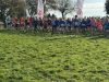24-25_cross_3