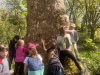 lespetitespointures-11