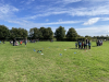 25-26_marentreraveclugsel-11