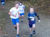 CROSS_UGSEL_2026_015