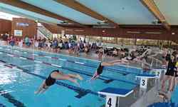 De belles qualifications pour les nageurs vendéens